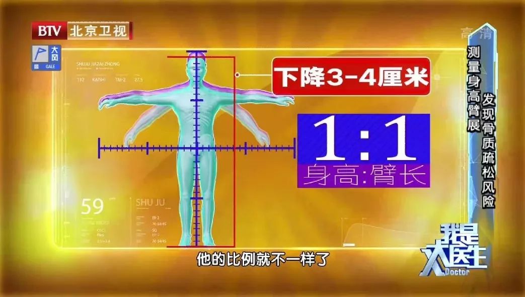 手臂长度和身高比例图图片