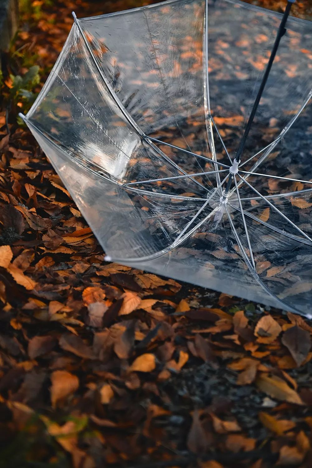 效果 /analysis而今天的教程便是教会大家如何去调出aut系列01滤镜的