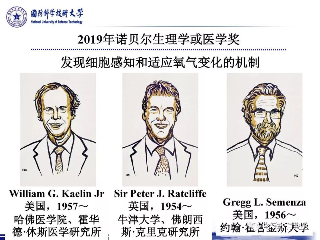 生命中氧气的中心地位2019年诺贝尔生理学或医学奖解读