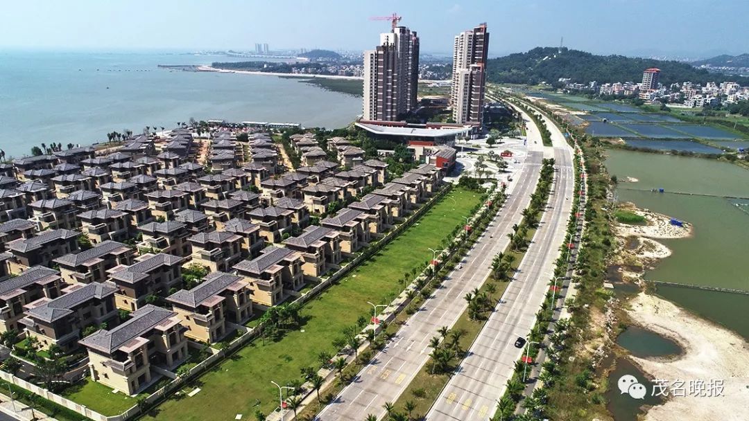 进入博贺湾大桥前须经由博贺湾大道▲博贺湾大道旁鹭鸟飞舞,生态