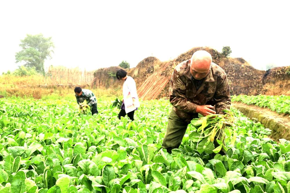 余荣华永葆军人本色勤俭持家致富