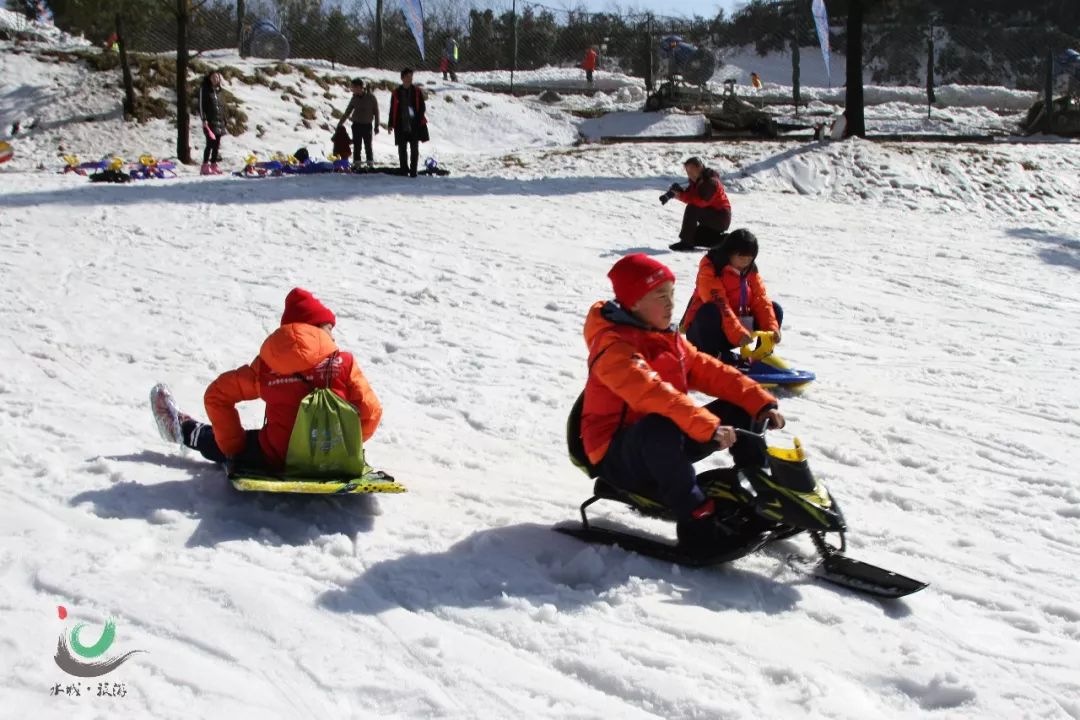 文旅资讯这个冬季野玉海观光小火车带你感受疯滑雪跃