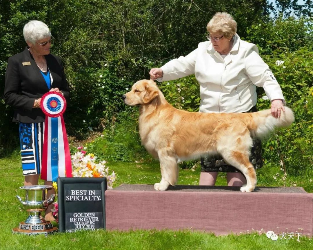 s boom or bust呼名"mcclain"gchb rush hills see qwill to golden