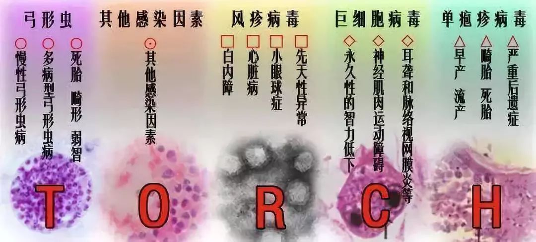 隐形虫病毒图片