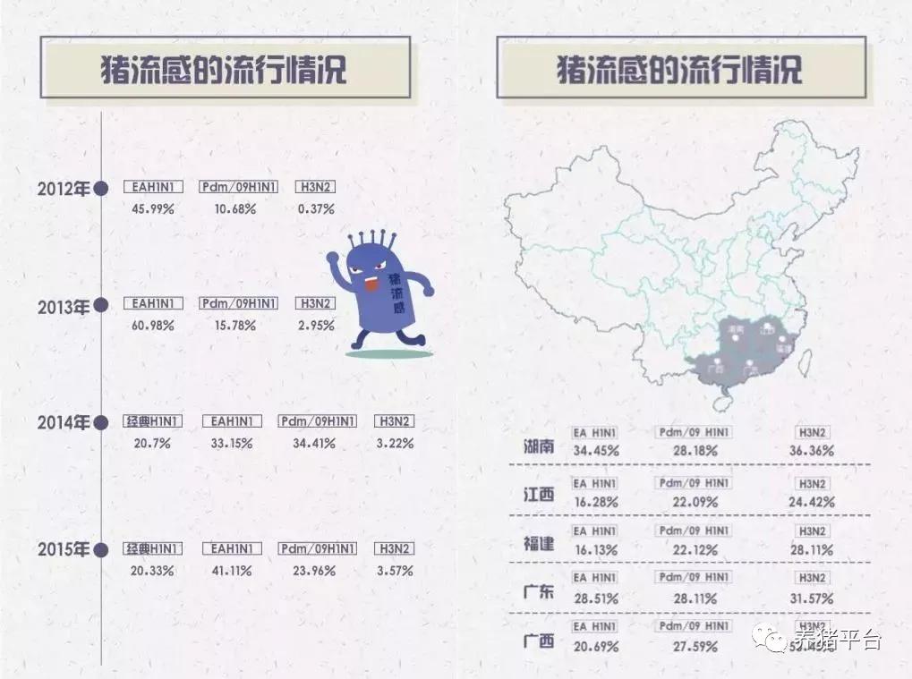 2019年猪流感症状及解决新方案！-搜狐大视野-搜狐新闻