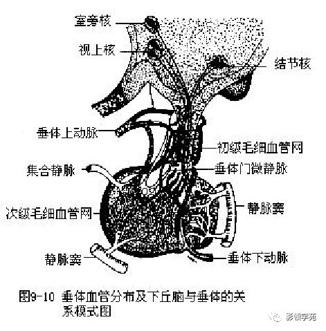 窦周隙 来自搜狐网