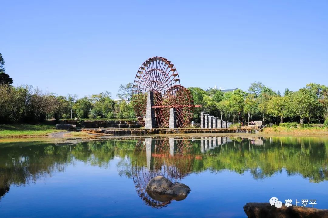 带着妻子孩子垫子今天罗平人终于能出门了