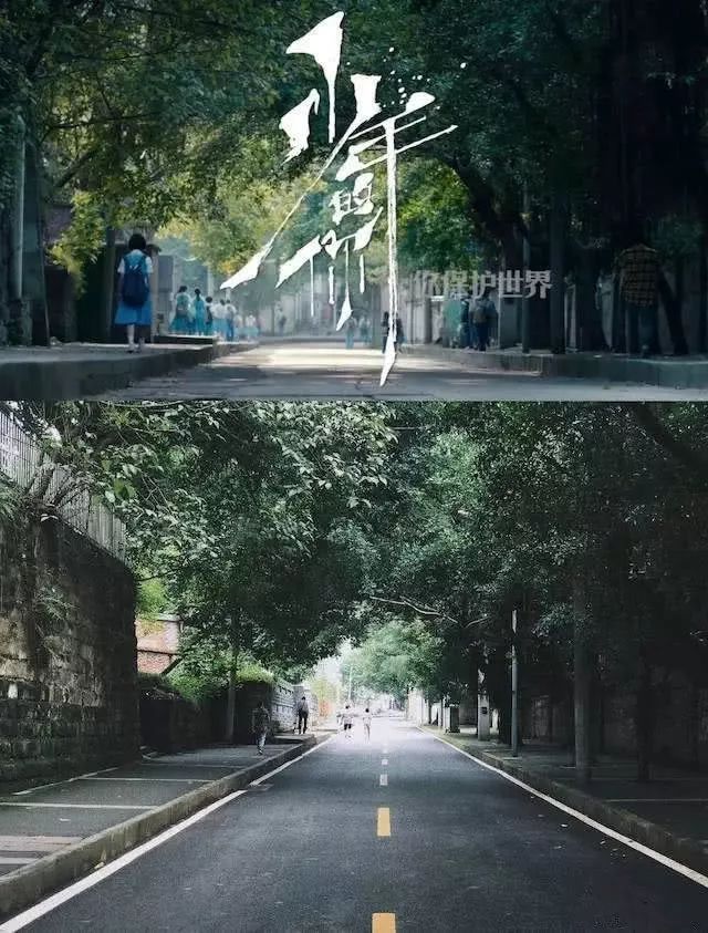 电影少年的你里面这些镜头取景渝中