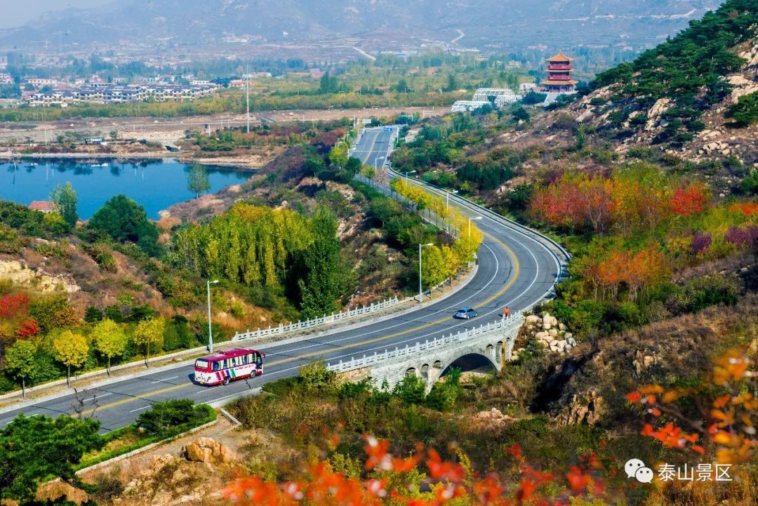 凭啥叫最美马拉松就凭这条美翻天的环山路