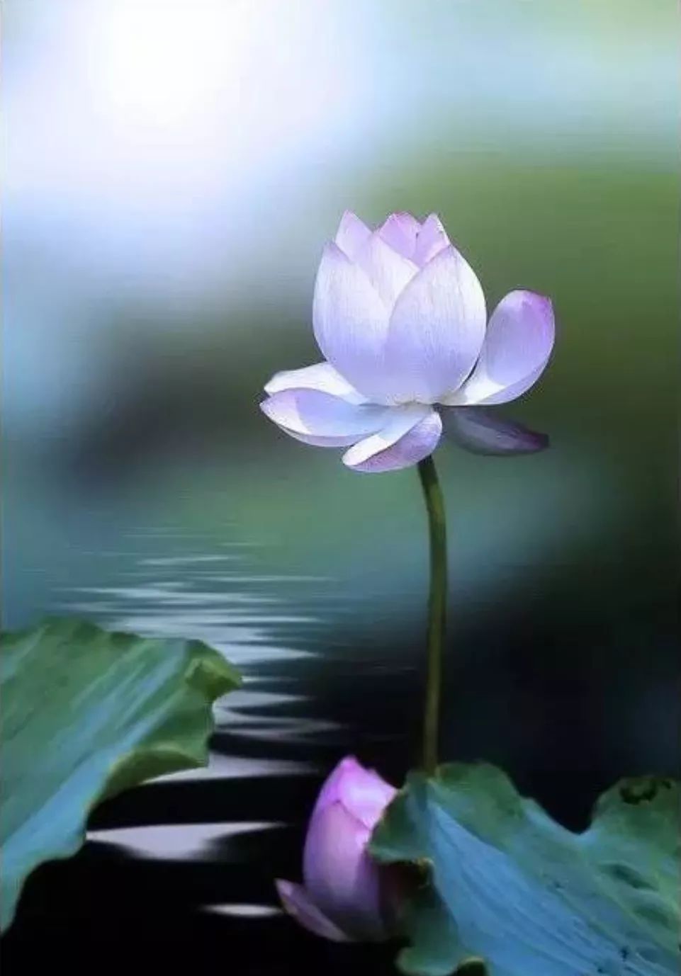 很舒心的一段话,送给我的朋友圈