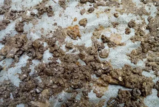 三九寒冬季,肠炎应该这样来预防!_肠道