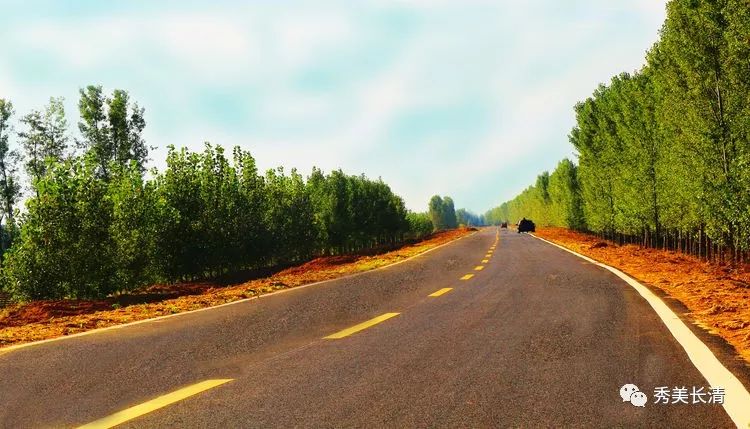 美哉长清文昌街道举办北纬365黄河风情线健步行活动