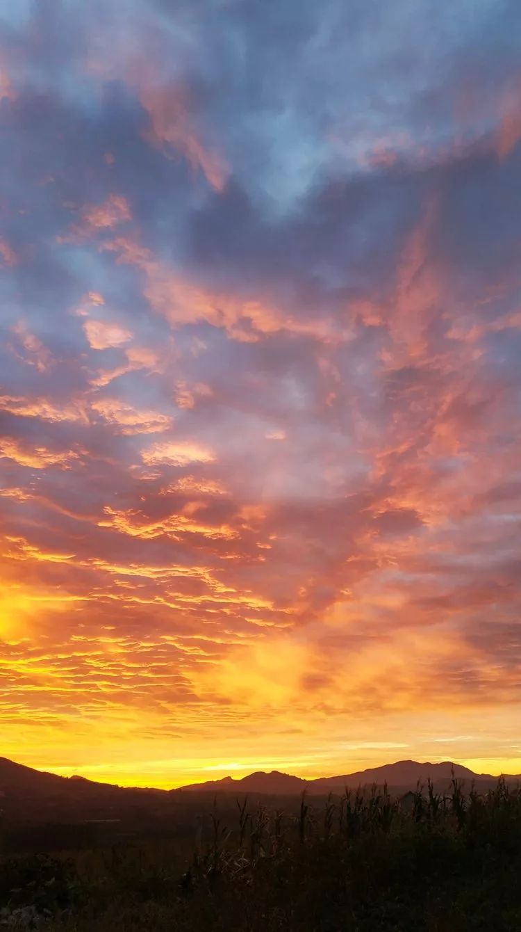 第一次拍到这么美的朝霞你有没有被美到