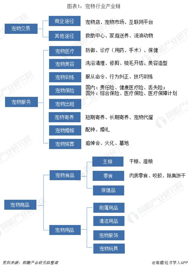 宠物公司的组织结构图图片