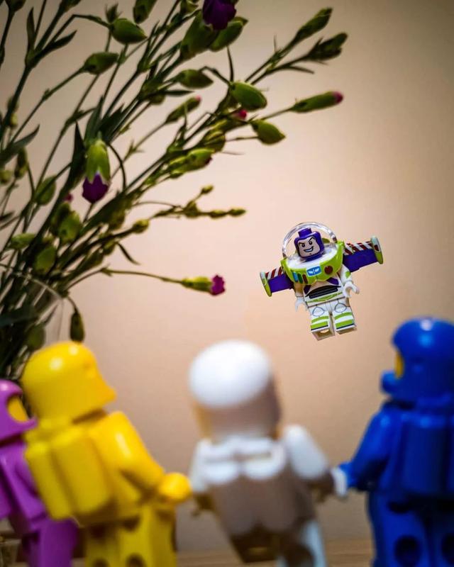 lego乐高人仔美图欣赏拍的意境也太好了吧