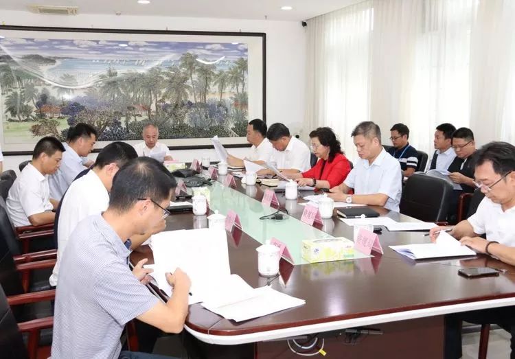 市领导冯琳,冯鸿浩,杨昌生,美兰区政府,桂林洋开发区,市发改委,市财政