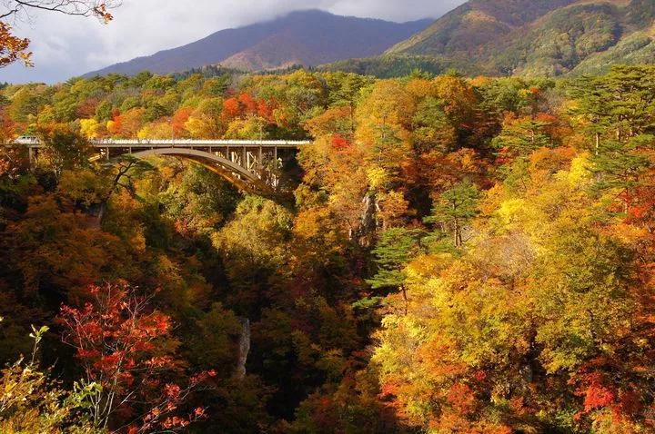日本红叶胜地我先去了这7个地方打卡了