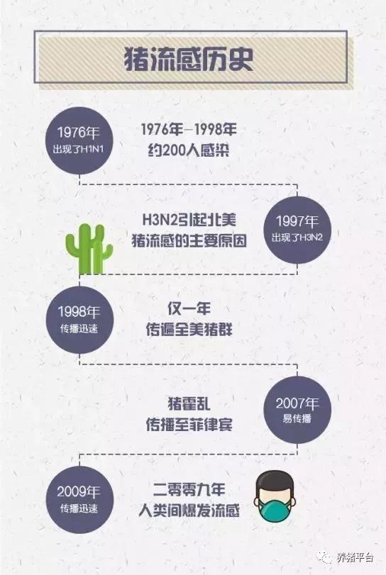2019年猪流感症状及解决新方案！-搜狐大视野-搜狐新闻
