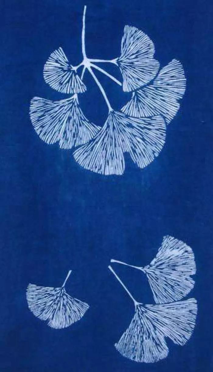 骆越庭之传统工艺扎染活动回顾