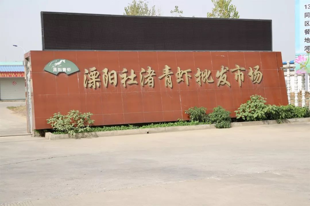溧阳社渚青虾批发市场溧阳社渚青虾批发市场,溧阳市社渚农产品电子