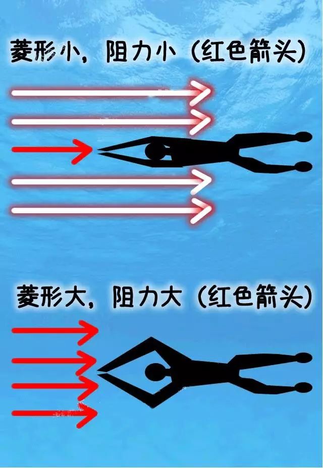 初学蛙泳的人要注意避免菱形手