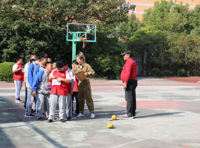 上海市凌桥中学图片