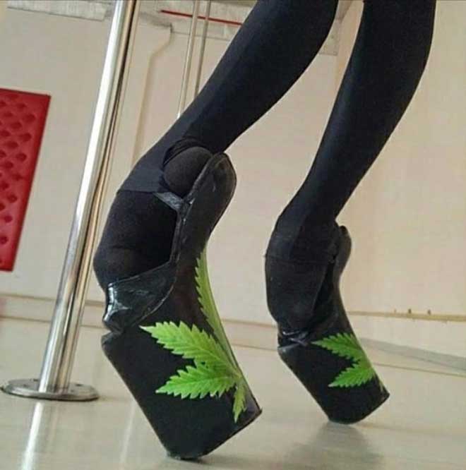 奇形怪状的鞋子:模仿骆驼的脚趾,把金鱼缸放在脚下