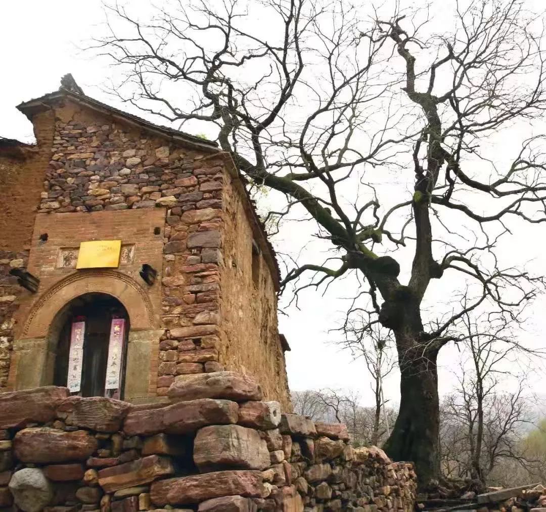 横河!一个无人注意的人间天堂!