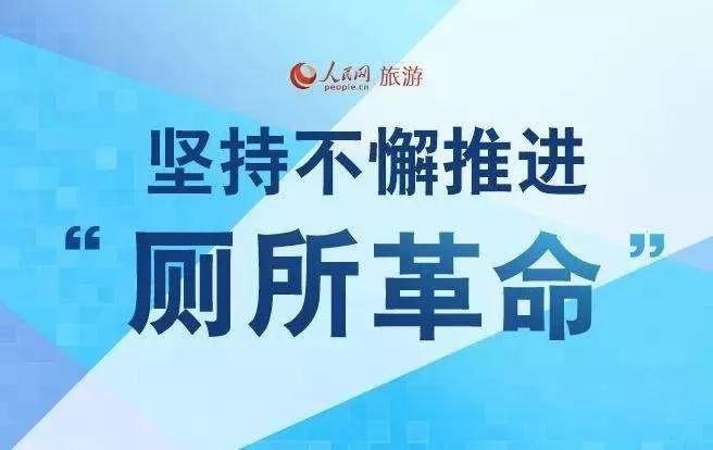 厕所革命|中国"厕所革命"的现状,问题及其对策思考
