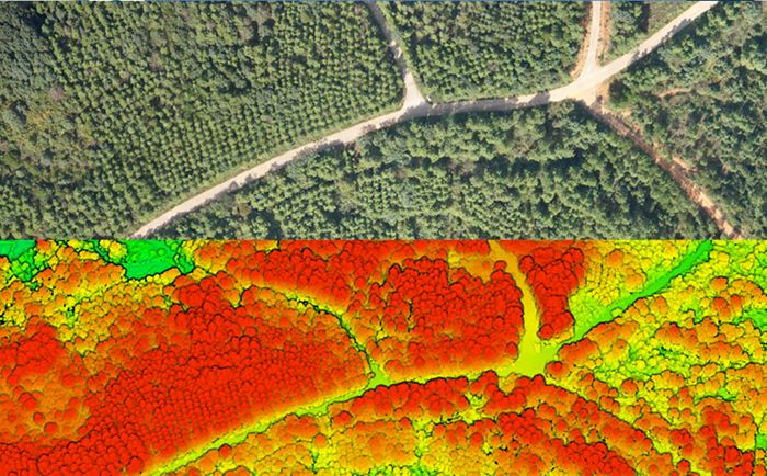 规划院利用无人机遥感助力自然保护地建设利用和保护管理