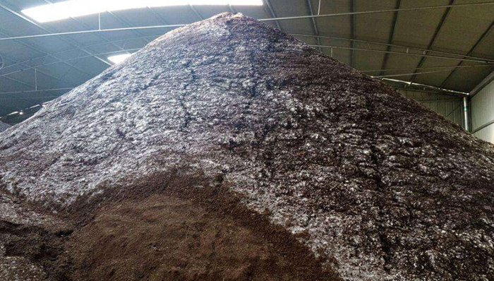 生活垃圾堆肥在苗圃地上的作用有哪些有机肥设备厂家为你讲述