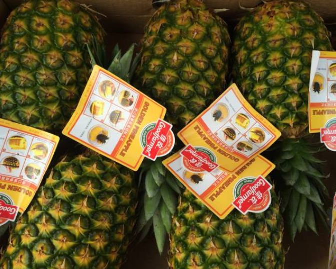 今天水果促销力度有点大好怕被买光