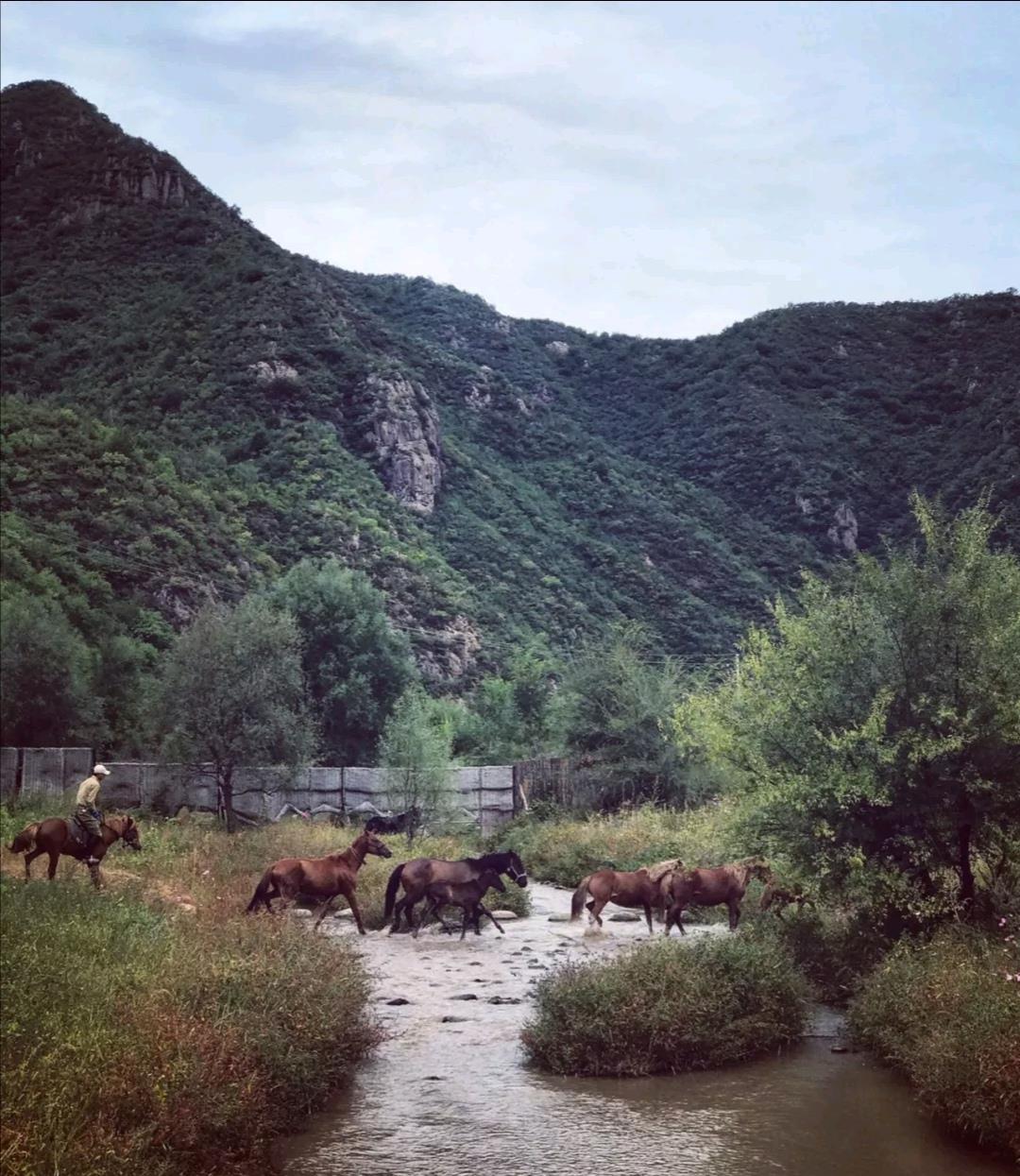 承德热河山谷图片