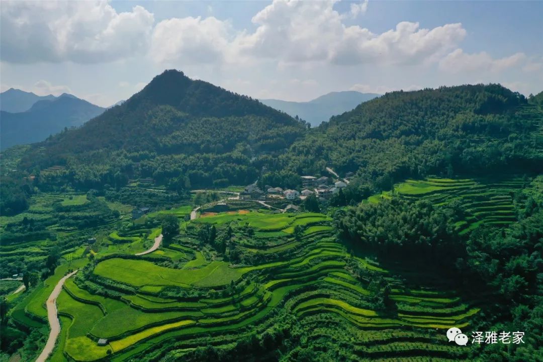 泽雅纸山的红色印记潘庄