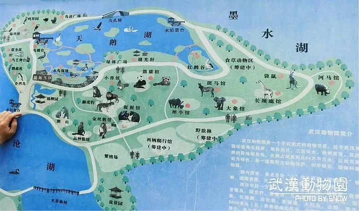 由月湖周边五大景观区组成:北岸为文化艺术中心区;南岸邻近古琴台可