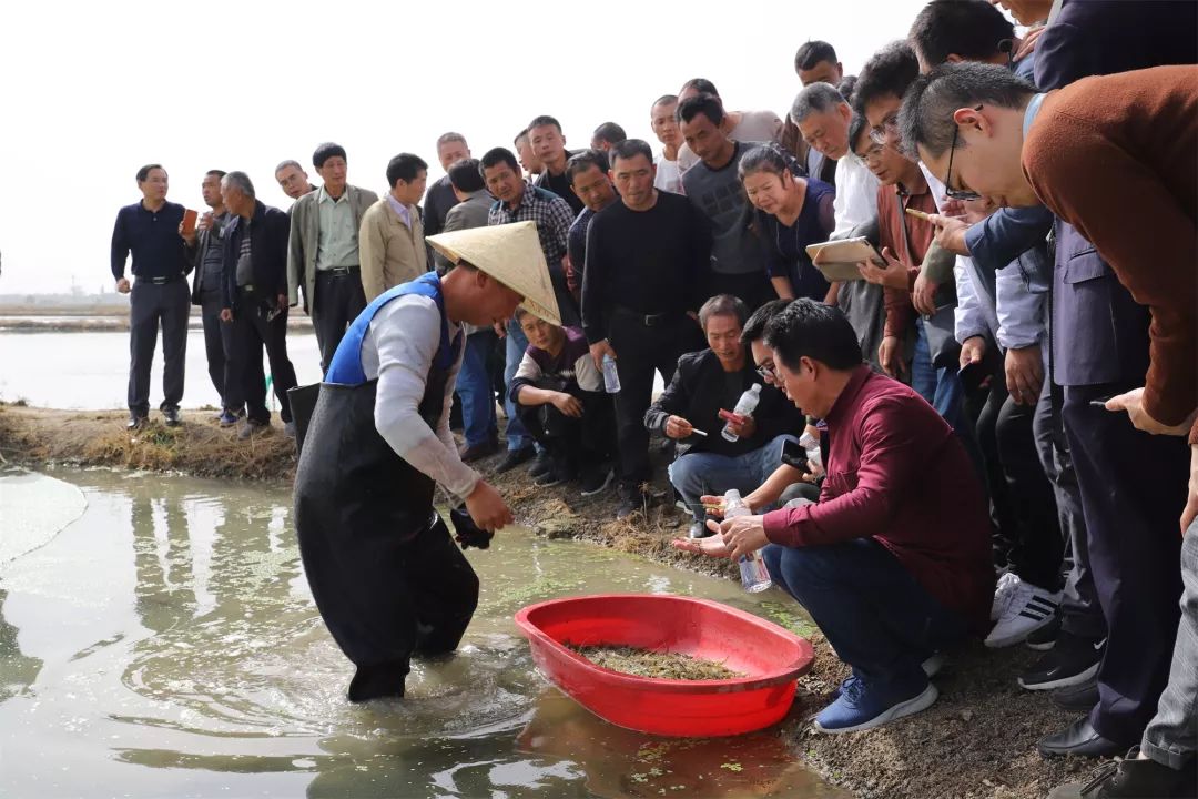 溧阳市社渚农产品电子商务交易中心江苏冠乾特种水产饲料有限公司现场