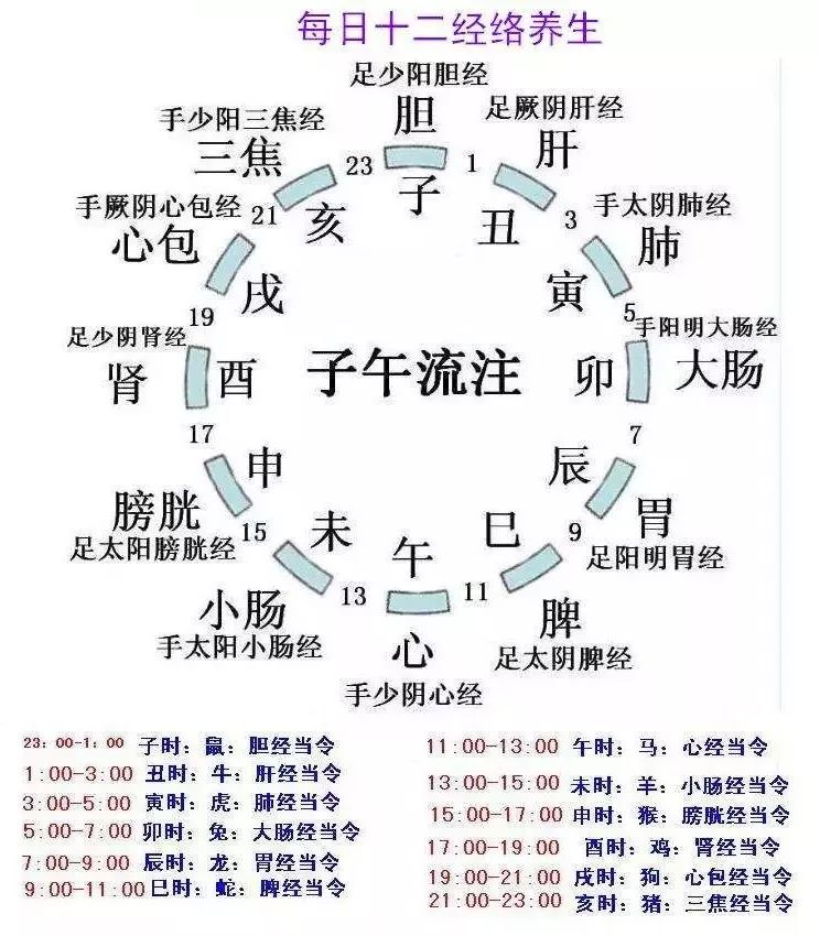 中医养生保健素养解读(中医养生保健素养42条)