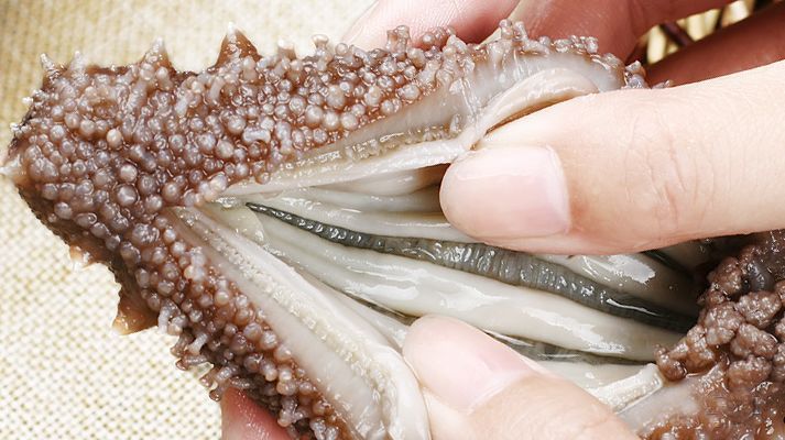 蟹小姐:吃了一年海参,为什么没效果?_大连