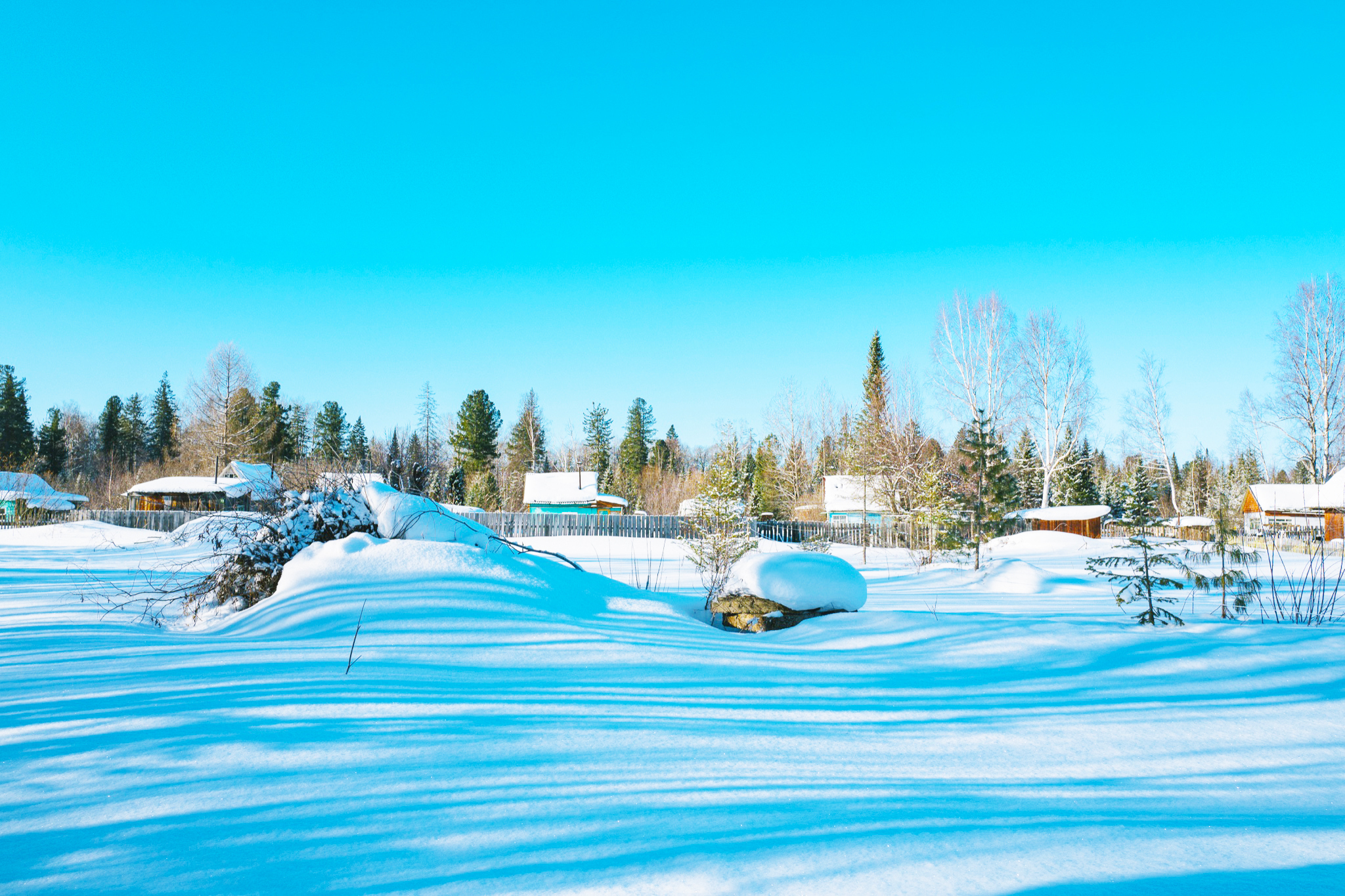 纳尼?俄罗斯也有雪乡,冬季看雪去俄罗斯西伯利亚