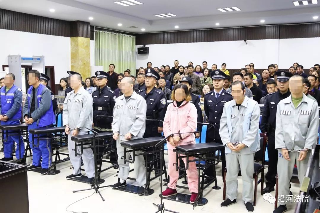 【扫黑除恶】被告人田某先等7人涉恶势力犯罪一案在沿河法院公开宣判