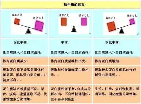 何为正氮正氮平衡对于增肌的意义有多大