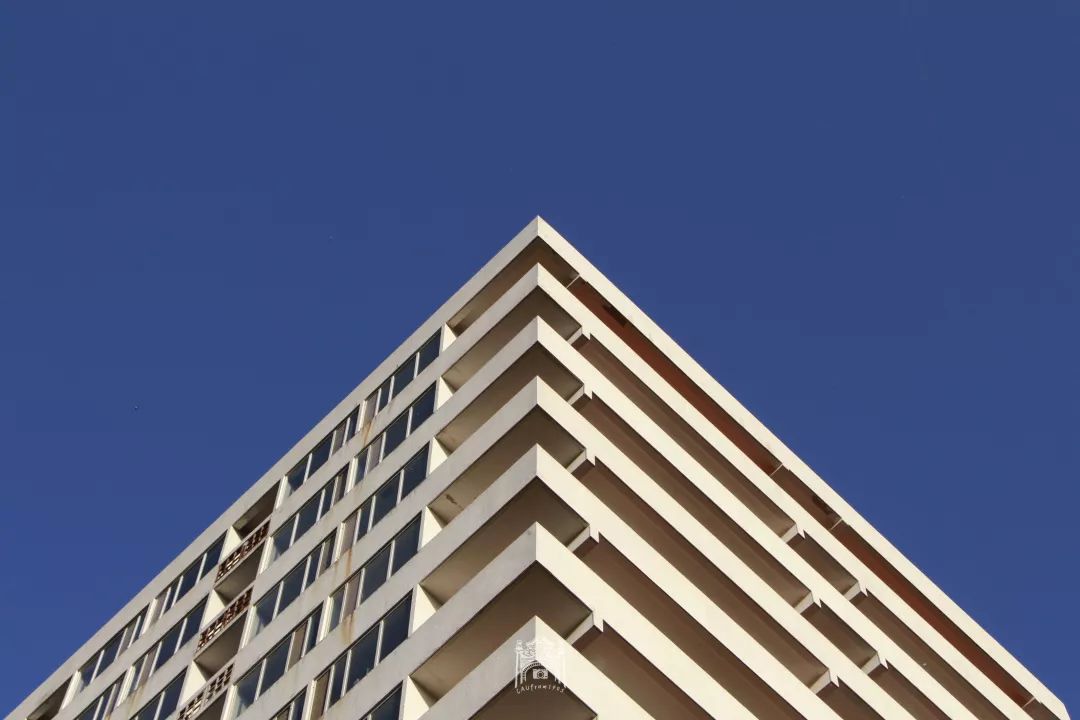 农大印象楼角剪影