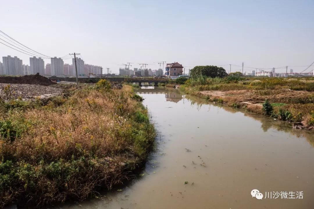 看现场 | 润川路东段(川黄路-川南奉公路)已全面开工
