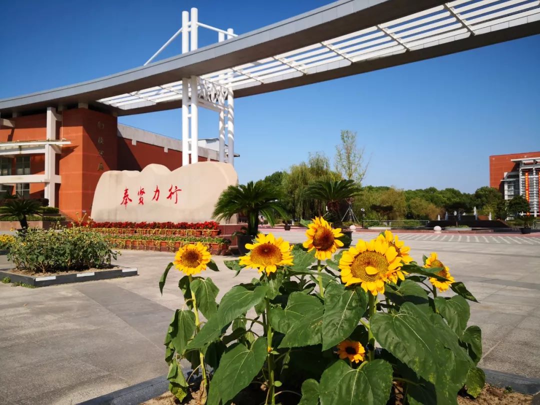 上海市奉贤中学2020学年教师应聘意向调研活动公告