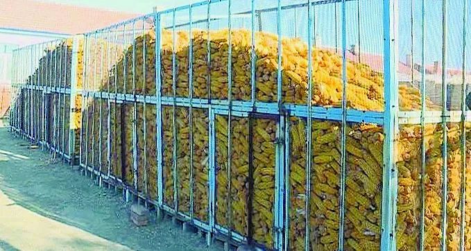 [吉农亮点] 德惠2.7万套科学储粮仓,力保"颗粒归仓"