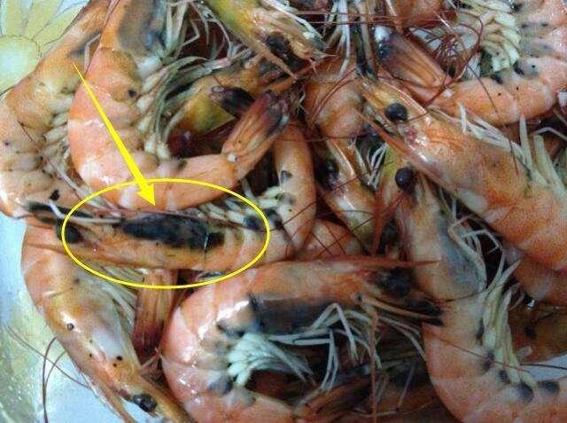 虾头颜色发黑,含有大量重金属?吃了会中毒?背后有2种原因