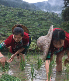 227_268gif 动态图 动图