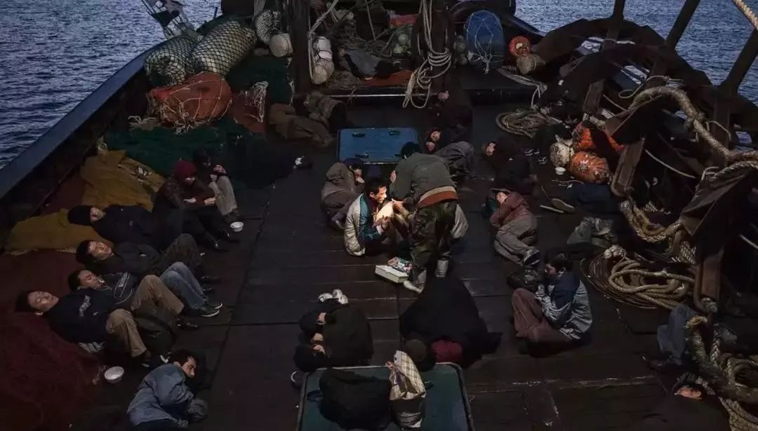 39名偷渡客尸体让我想起了这部限制级电影