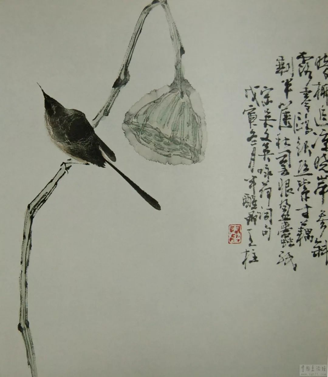 国画教程写意莲蓬画法