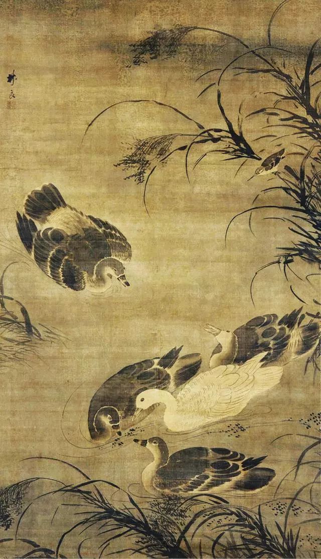国画名家明代画家林良花鸟画作品欣赏
